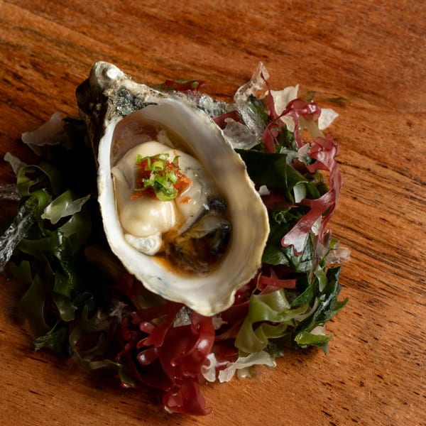 Kase Sake & Sushi oyster with sauce and green onions, served on a bed of seaweed.
